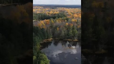Drone Fly's Over Ontario Wilderness In Autumn #short #shortvideo #shorts #shortsvideo