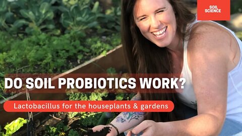 Soil Probiotics For Soil Microbe Health. Does Lactobacillus For Houseplants & The Garden Work?