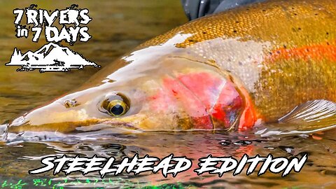 Fishing 7 Rivers In 7 Days - STEELHEAD EDITION - 7 Day Challenge Official Movie