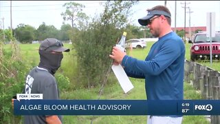 Alagae blooms found in two cape coral canals