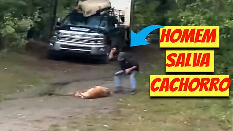 Homem ataca corajosamente um puma para salvar seu cachorro