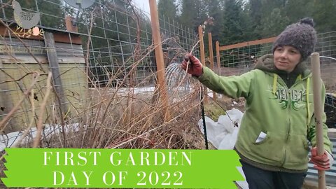 FIRST GARDEN DAY OF THE YEAR | Adventures In Reality