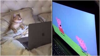 Denne killing er kæmpe fan af Peppa Pig