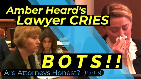 Did Amber Heard File a Frivolous Counterclaim? Depp v. Heard Commentary - Are Lawyers Honest? Part 3