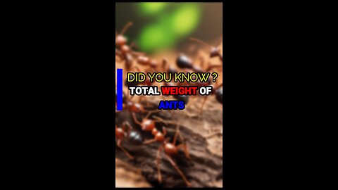 DYK | DID YOU KNOW | WEIGHT OF ANTS ON EARTH ?