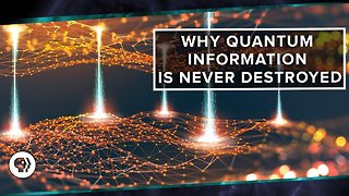 Why Quantum Information is Never Destroyed