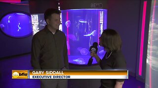 New Exhibit Opens at The Aquarium of Niagara