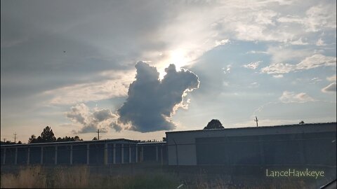 Crazy Cloud Cam | Image Set 289 | Squirrel