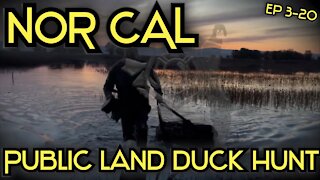 PUBLIC LAND DUCK HUNTING NORTHERN CALIFORNIA 2020