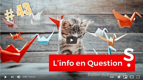 Info en Question #43 - avec Stefan Penkov économiste (08-04-2021)