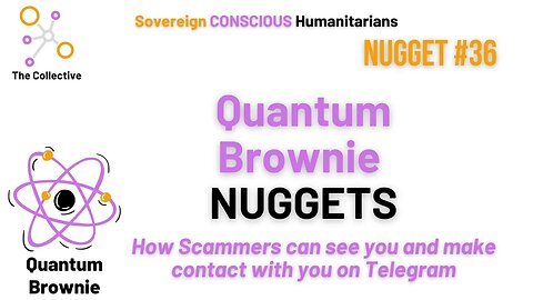 Quantum Brownie Nugget How Scammers can see you and make contact