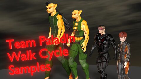 Team Paladin Walk Cycle Sample (animation)