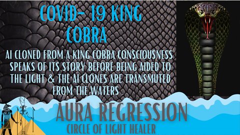 Covid-19 King Cobra Consciousness Speaks of its Creation as a Deadly Weapon. AURA