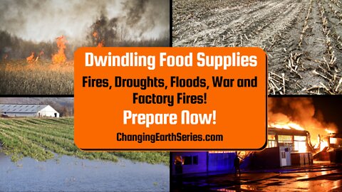 Dwindling Food Supplies