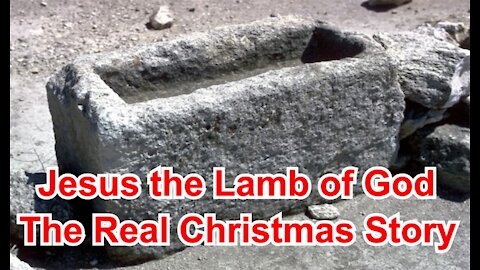 Jesus the Lamb of God - The Real Christmas Story