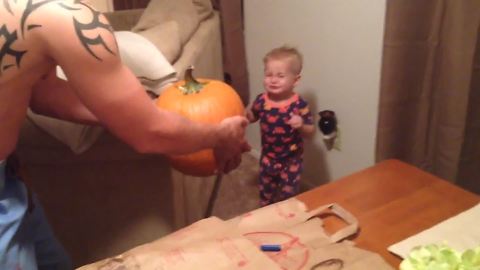 "Toddler Afraid Of Pumpkin"