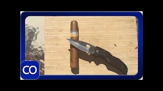 Cuban Cohiba Siglo II Robusto Cut Open Real Or Fake