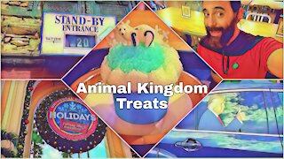 Animal Kingdom Treats