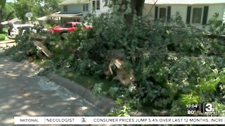 Mayor Stothert: Storm debris pickup efforts to be extended