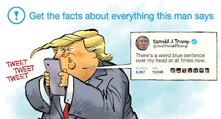 Fact checking fact checkers, anonymous, the new york times and how they were wrong about TRUMP