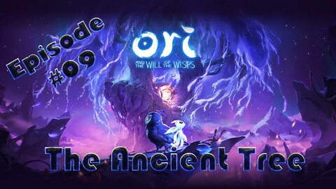 Ori and the Will of the Wisps #09 The Midnight Burrows