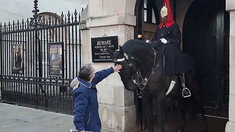 Don't touch the horse. stop it #horseguardsparade