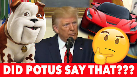 Did President Trump actually say that??? Cars, Numbers, and Every Dog has its Day. You decide!!!