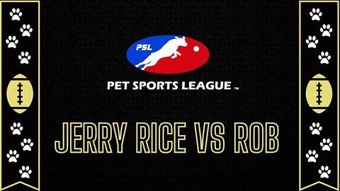 Jerry Rice & Nitus' Dog Football | Pet Sports League LIVE! - Jerry Rice vs Rob #Nintendo #Wii #Dog