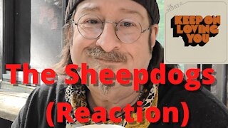 The Sheepdogs - Keep On Loving You | REACTION