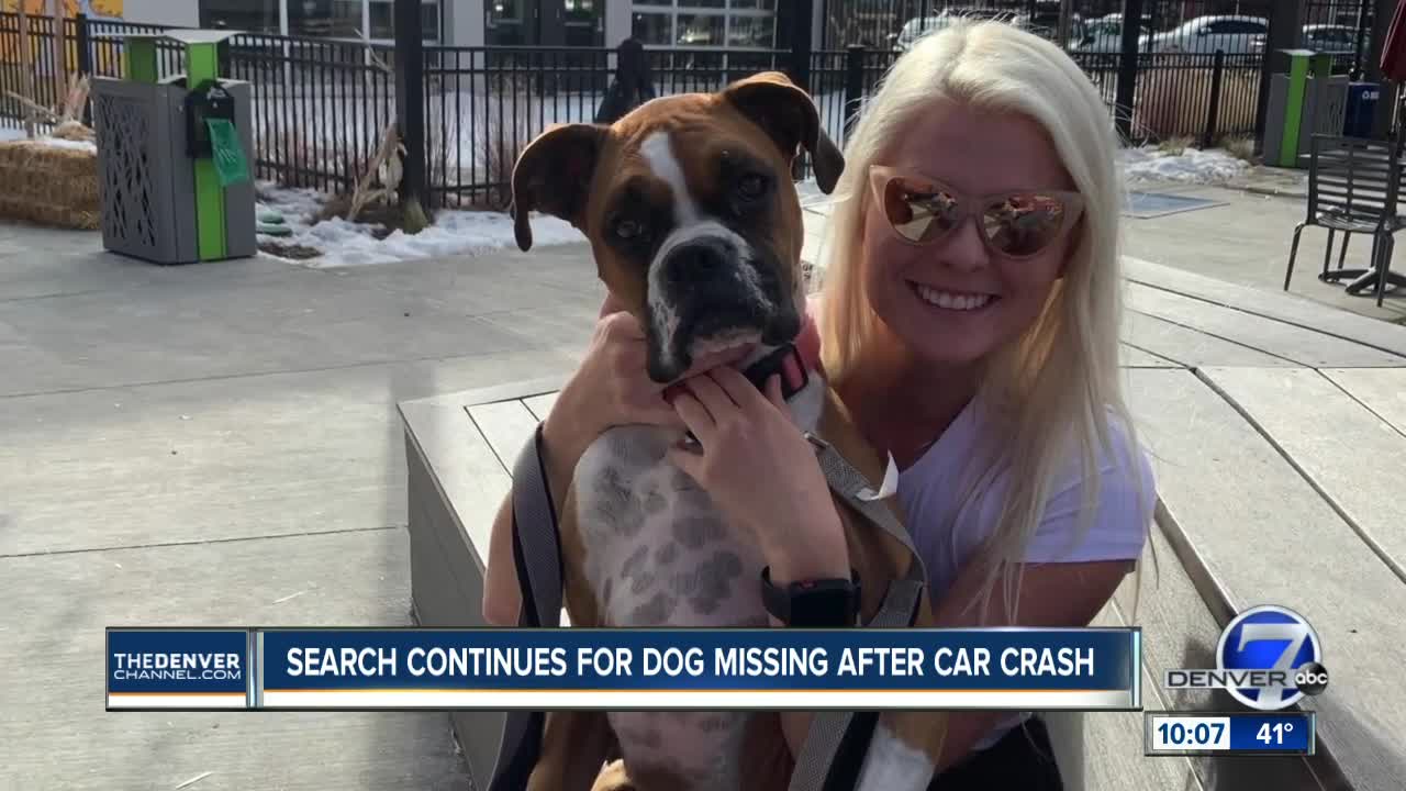 Weld County couple searching for dog after devastating crash paralyzes driver