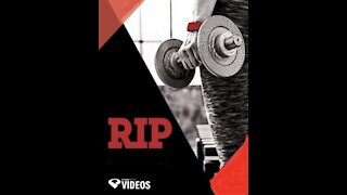 RIP 1 Legs and Triceps