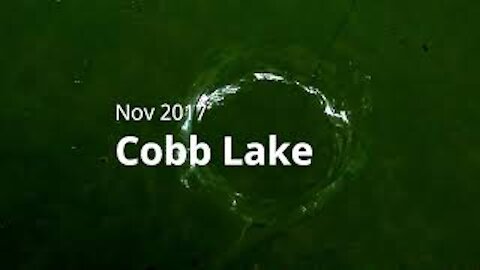 Cobb Lake Ice Fishing - Nov 2017