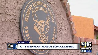 Report details rats, mold plaguing Phoenix school district