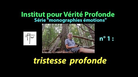 Institut pour Vérité Profonde : Catalogue des Émotions" n° 1 : Tristesse profonde