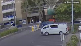 Motorista escapa por um triz de queda de árvore na Austrália