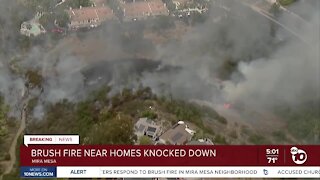 Brush fire near homes knocked down