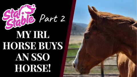MY IRL HORSE BUYS MY NEXT STAR STABLE HORSE! { Part 2 } Star Stable Quinn Ponylord