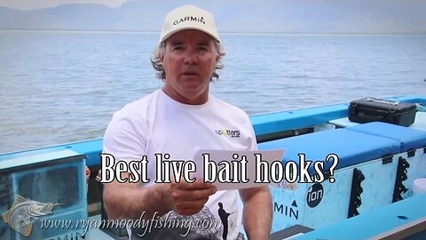 Live bait hooks for barramundi | Circle hooks or Suicide hooks