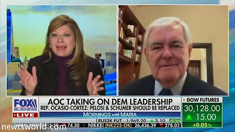 Newt Gingrich on Fox Business Channel's Mornings with Maria | December 22, 2020