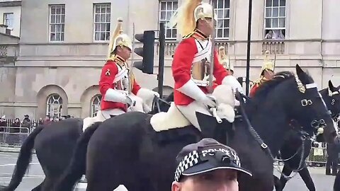 Horse's bump in each other King Charles ceremony #horseguardsparade