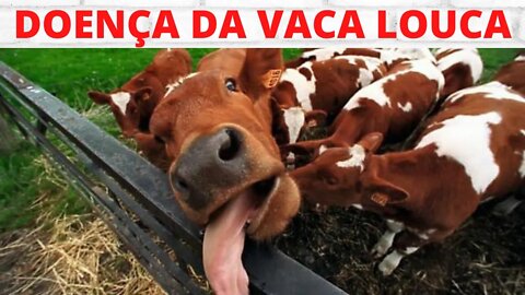 DOENÇA VACA LOUCA NOVA AMEAÇA?