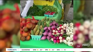 SWFL farmers market uses online shopping on new Local Roots website
