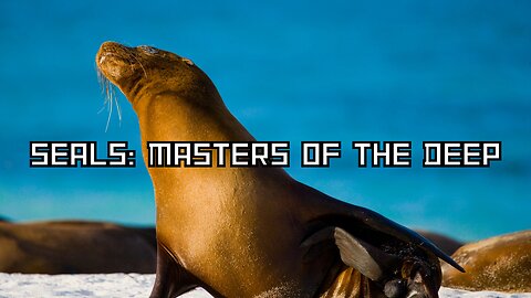 Seals: Masters of the Deep