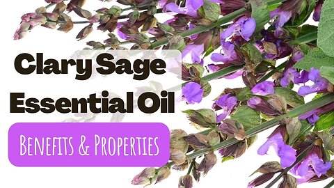 Clary Sage Essential Oil - Benefits, for wellness and Aromatherapy.