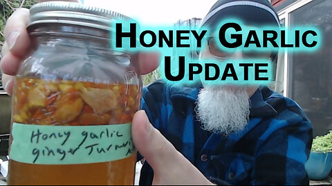 Honey Garlic Update—See Links in Description for Recipe and Previous Update [ASMR]