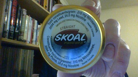 The Skoal Straight Pouches Review (Canada Only)