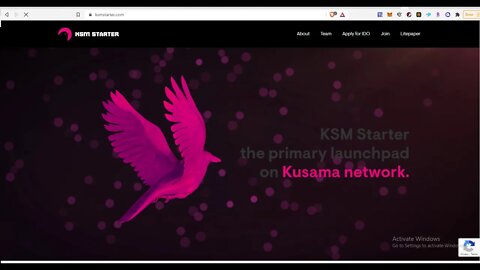 KSMstarter IDO Soon - 1st IDO Launchpad For Kusama (Substrate) Projects. Whitelisted Yet? $KST 100x?