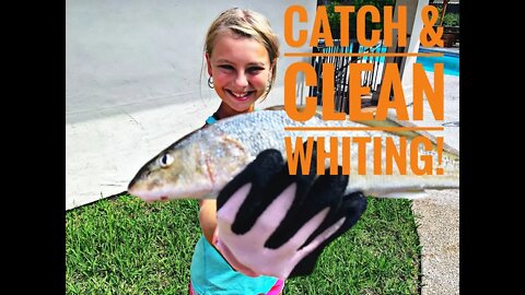Catch & Clean Whiting!