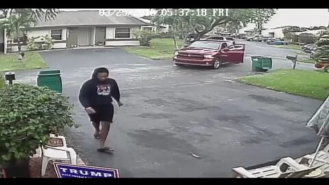 Two Stealing Trump Signs