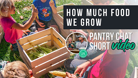 How Much Food We Grow for Our Family | Pantry Chat Podcast SHORT